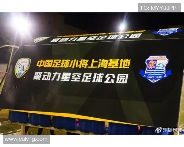 深圳足球明星赛即将开启精彩对决时间安排与参赛阵容全解析