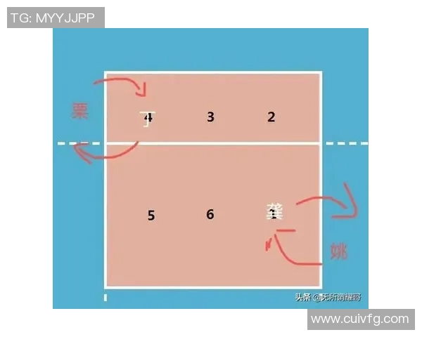 杭州排球队的战术控制解析与未来发展展望