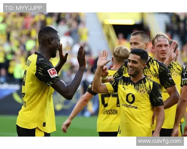 多特蒙德足球明星实力排名及影响力分析全面解读